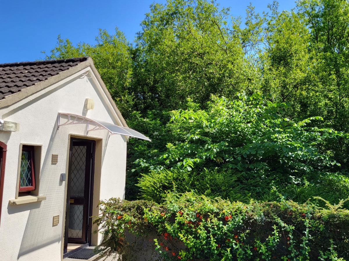 Oak Cottage 3 Km From Rock Of Cashel キャッシェル エクステリア 写真