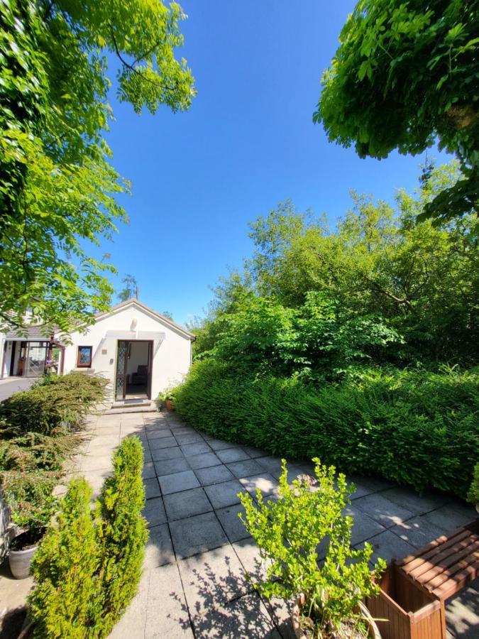 Oak Cottage 3 Km From Rock Of Cashel キャッシェル エクステリア 写真