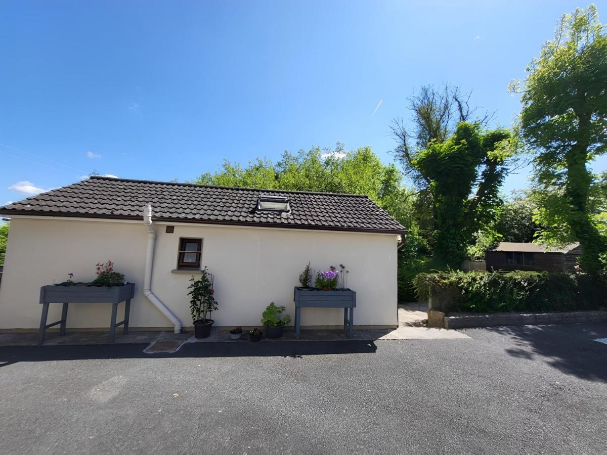 Oak Cottage 3 Km From Rock Of Cashel キャッシェル エクステリア 写真