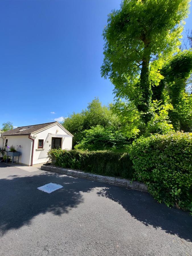 Oak Cottage 3 Km From Rock Of Cashel キャッシェル エクステリア 写真